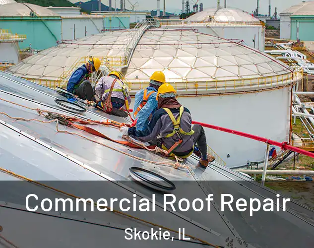  Commercial Roof Repair Skokie, IL