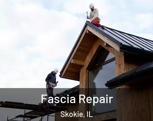  Fascia Repair Skokie, IL