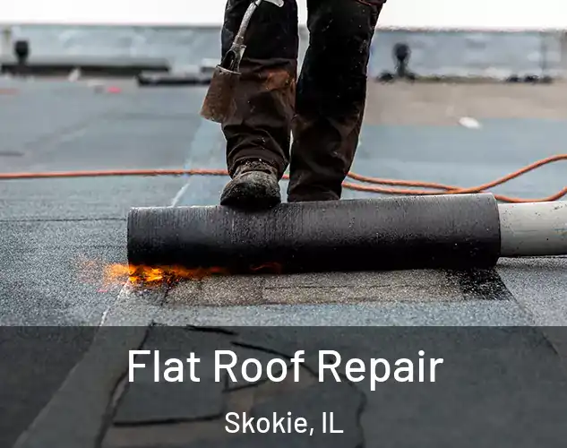  Flat Roof Repair Skokie, IL