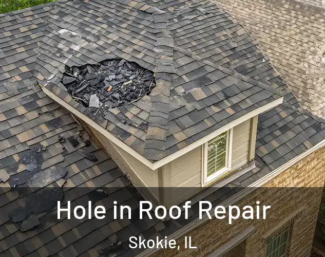  Hole in Roof Repair Skokie, IL