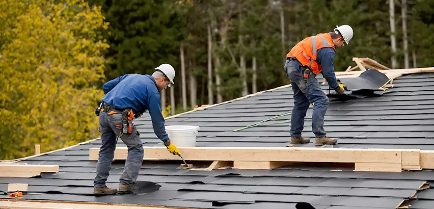 Agricultural Roof Maintenance Skokie