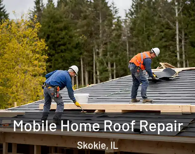  Mobile Home Roof Repair Skokie, IL