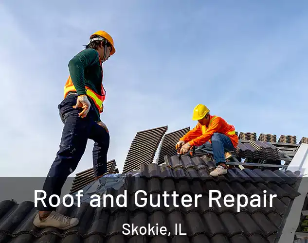  Roof and Gutter Repair Skokie, IL