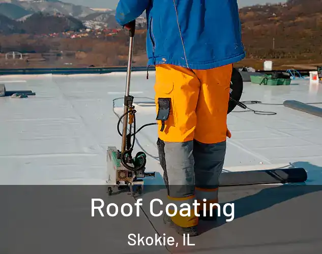  Roof Coating Skokie, IL