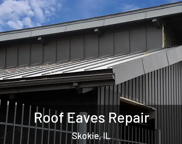  Roof Eaves Repair Skokie, IL