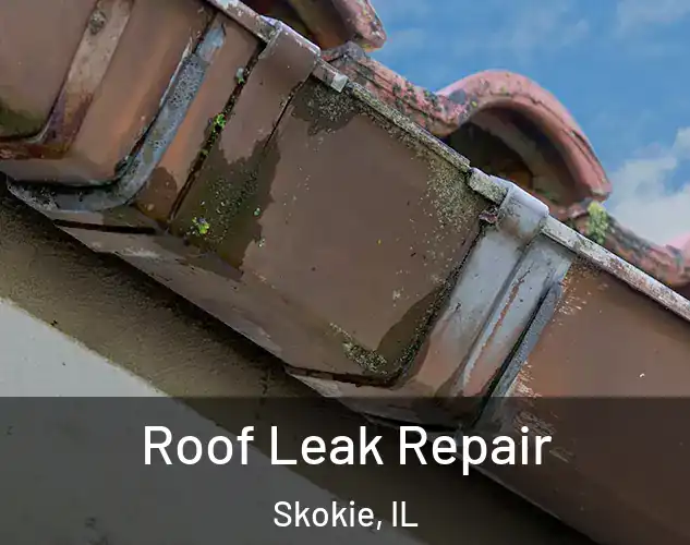  Roof Leak Repair Skokie, IL
