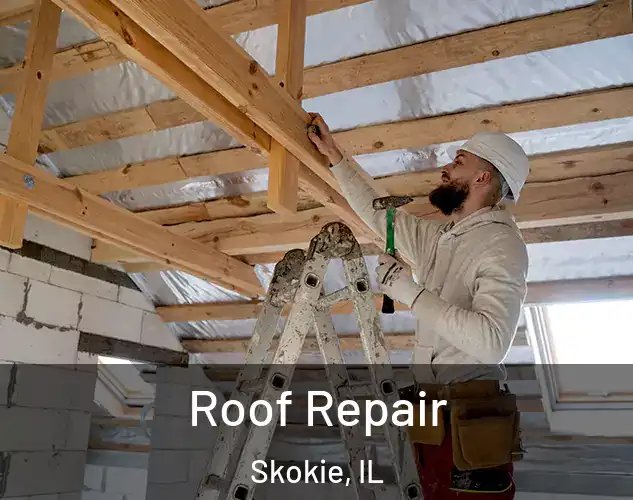  Roof Repair Skokie, IL