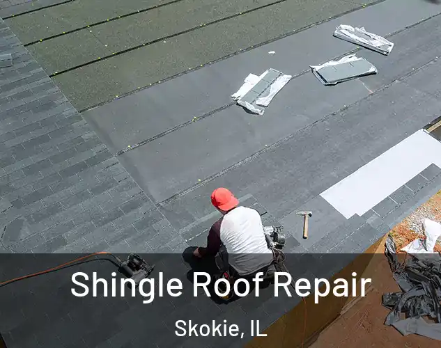  Shingle Roof Repair Skokie, IL