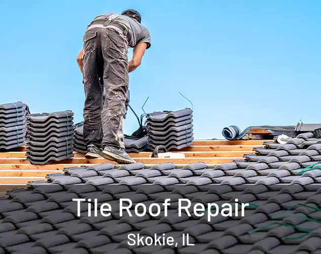  Tile Roof Repair Skokie, IL
