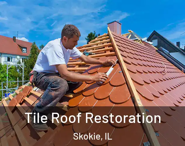  Tile Roof Restoration Skokie, IL